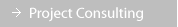 PRP Project Consulting
